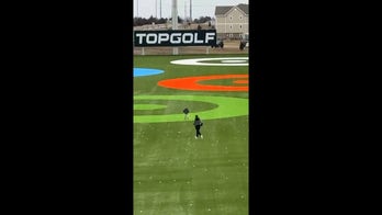 Watch out! Kid runs out onto Topgolf driving range, gets chased by employee