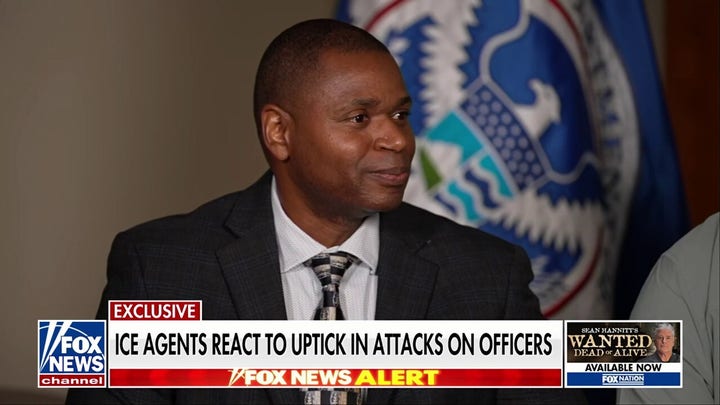 ICE agent says there's 'always a sense of fear' of being attacked