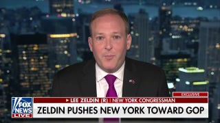 Will Lee Zeldin run for RNC chair? - Fox News