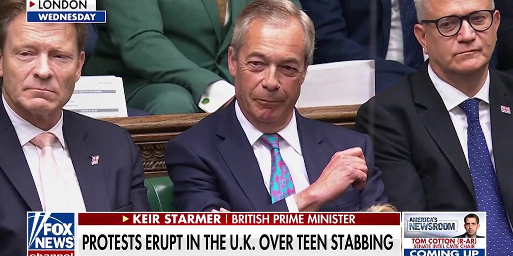 Nigel Farage slams British PM over after student's death