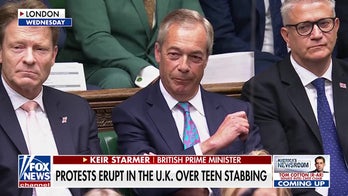 Nigel Farage slams British PM over after student's death