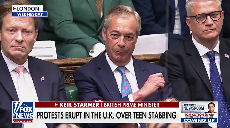 Nigel Farage slams British PM over after student's death