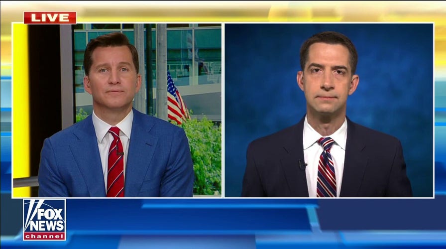 Tom Cotton offers Memorial Day message, discusses COVID lab leak concern