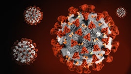 Japanese woman contracts coronavirus after contact with man who wanted to 'spread' it: report