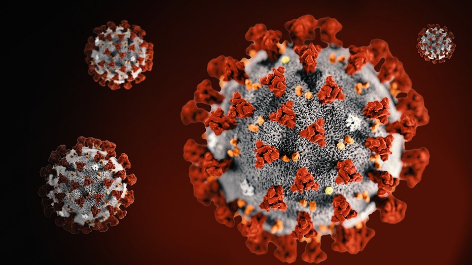 Bipartisan concerns grow over lack of coronavirus testing
