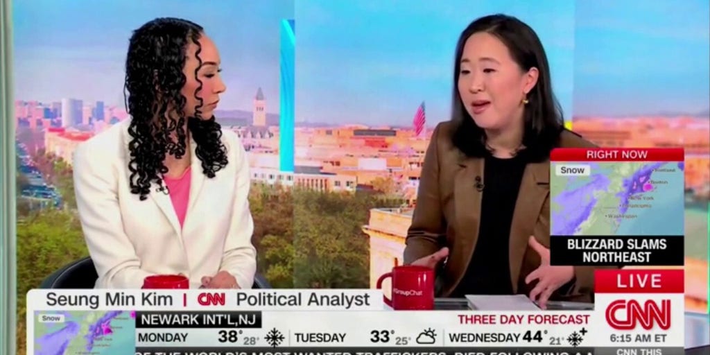 CNN analyst refers to 'so-called Angel Moms' on day of migrant crime memorial event