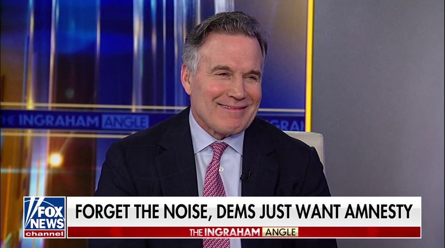 Democrats ‘lost their minds’ over Trump’s immigration agenda, says GOP senator