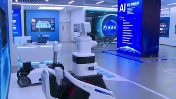 Is there an existential risk from the emergence of AI?