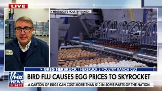 Poultry farmer reacts to egg shortage: 'We're entering the fourth year of a battle and we're losing'  - Fox News