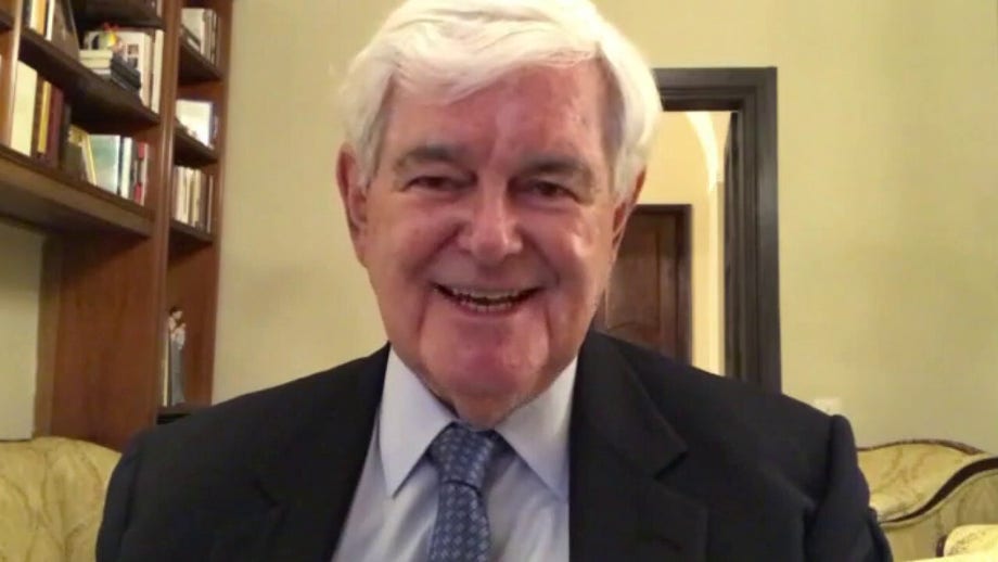 Newt Gingrich: Democrats prove they are the 'Lion King' Party now – Here's what I mean by that