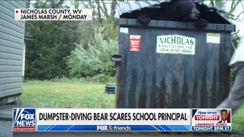 Bear gives West Virginia school principal the surprise of his life