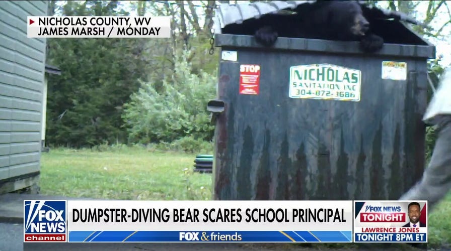 Bear gives West Virginia school principal the surprise of his life