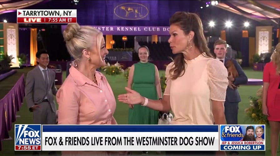 Westminster Dog Show 'Best in Show' preview