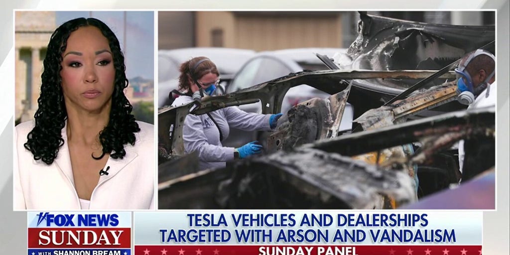 Tesla vehicles and dealerships threatened by vandalism amid left’s backlash against Elon Musk