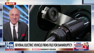 Kevin O'Leary: This is a problematic narrative for the EV industry - Fox News