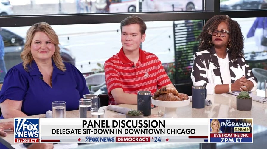 'On fire’: Illinois delegate says Dems' ticket change has ‘energized’ voters