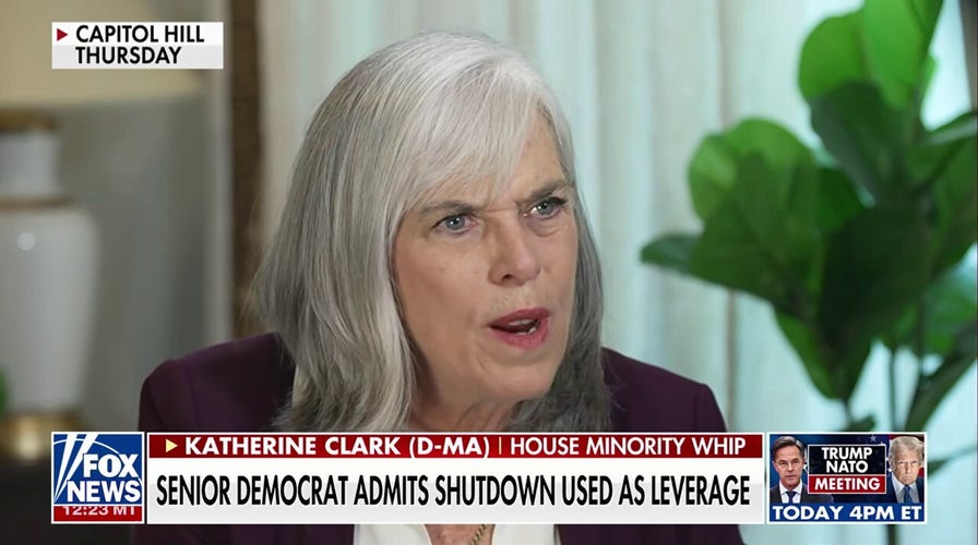 Senior Democrat admits government shutdowns are used as 'leverage'