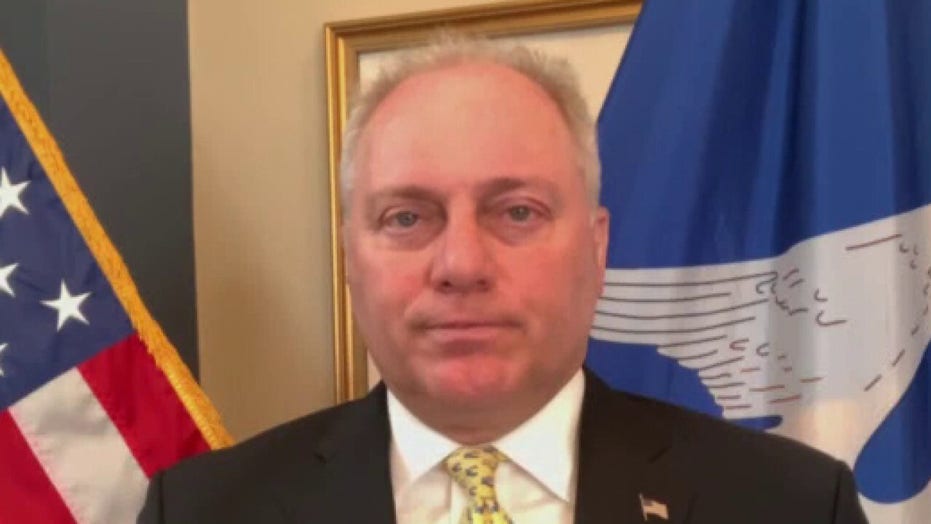 Scalise, GOP lawmakers demand to know why FBI designated baseball shooting 'suicide by cop'