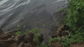 Latest body found in Lady Bird Lake renews safety concerns - Fox News
