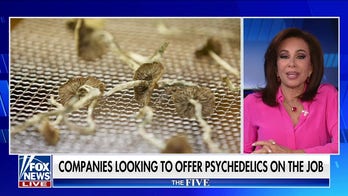 'The Five' reacts to professionals turning to psychedelics to treat mental health