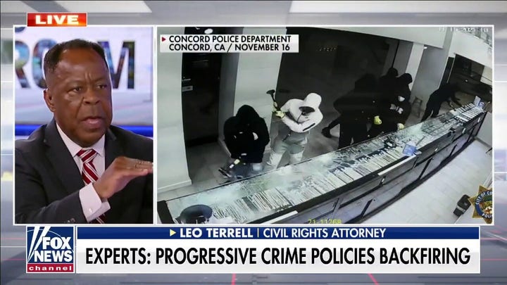 Dem strategy backfired due to ‘false assumption that a systemic, racist policy exists’: Leo Terrell