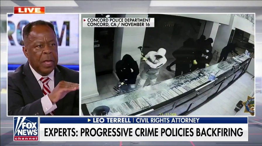 Dem strategy backfired due to ‘false assumption that a systemic, racist policy exists’: Leo Terrell