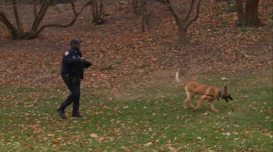 NYPD searching Central Park in manhunt for UnitedHealthcare CEO's killer