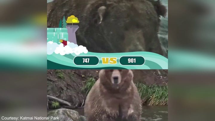 Fat Bear Week 2022 Champion Crowned. 