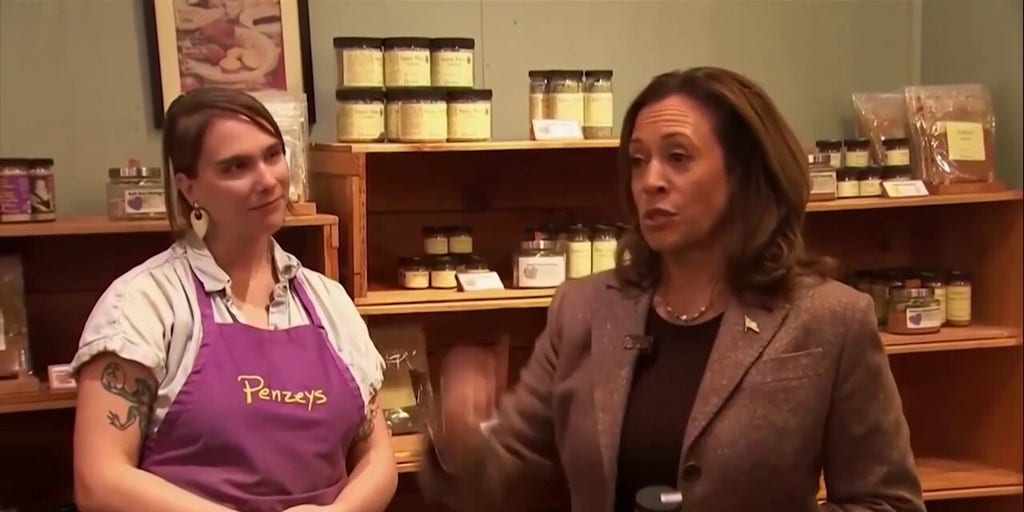 Kamala Harris visits anti-Republican spice shop, says we need to end 'division'