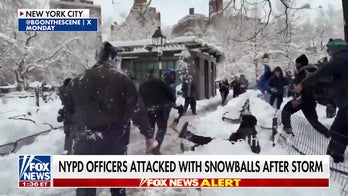 Commissioner condemns 'criminal' snowball attack on NYPD officers
