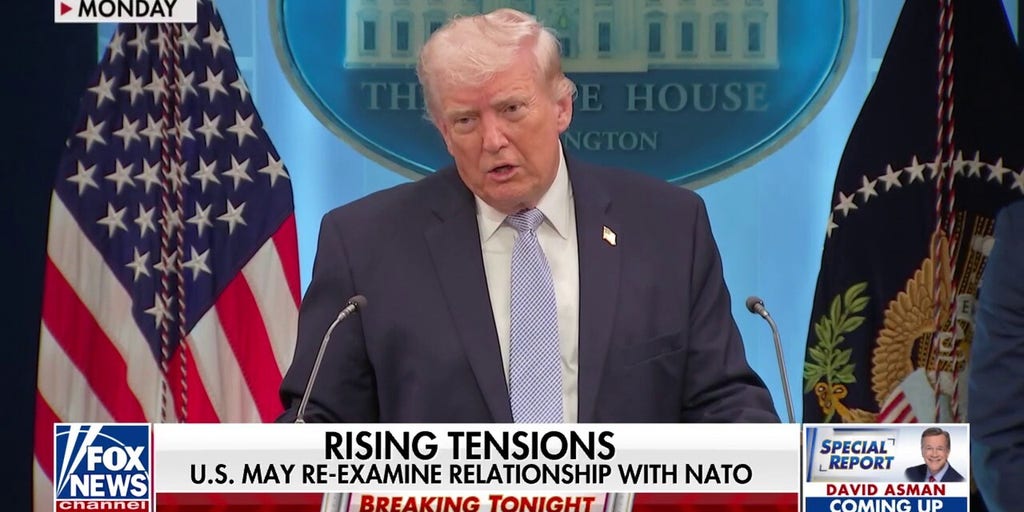 'Paper Tiger': US might re-examine relationship with NATO