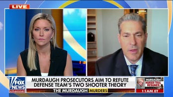 Alex Murdaugh prosecution tries to refute double-shooter theory