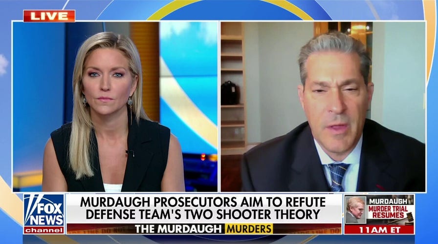 Alex Murdaugh prosecution tries to refute double-shooter theory