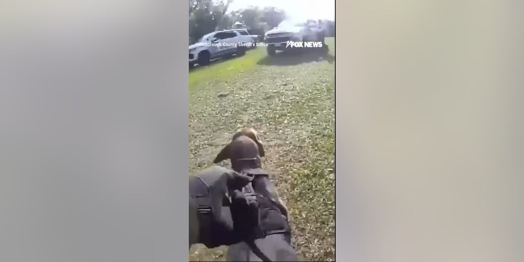 GOOD BOY: Hero K-9 tracks down missing Florida man