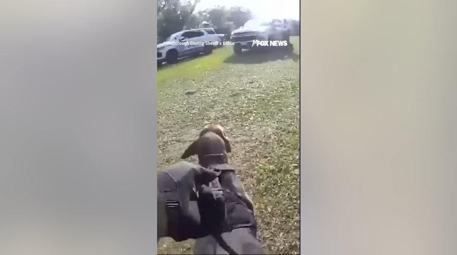  Hero K-9 tracks down   missing Florida man