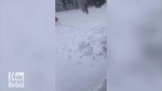 Now that's a snowdrift! Dog is not sure what to do, where to go - Fox News