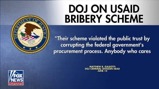Four plead guilty in $550 million USAID bribery scheme