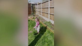 Toddler tends to 'fairy garden' full of fruits and vegetables to feed her family
