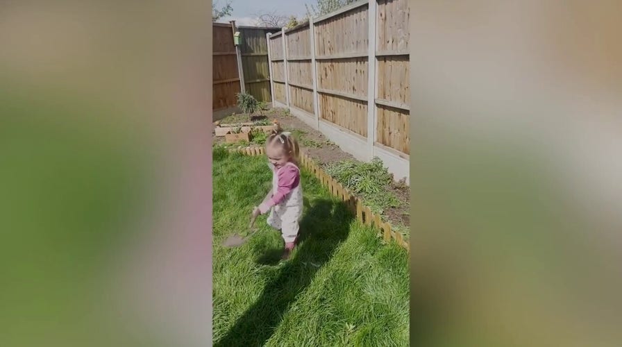 Toddler tends to 'fairy garden' full of fruits and vegetables to feed her family
