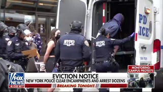 Additional protesters arrested at New York campuses - Fox News