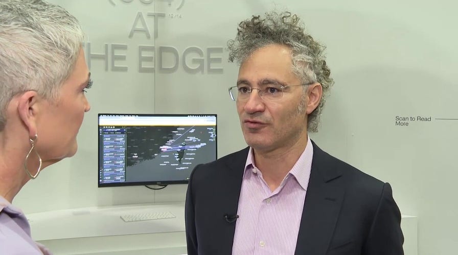 Palantir CEO Alex Karp addresses fears over AI: 'We have to dominate'
