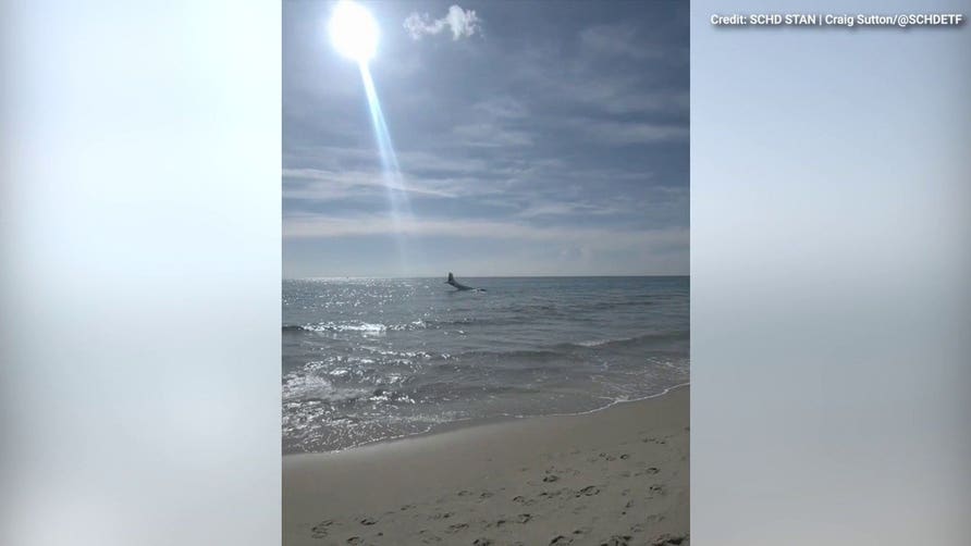 Florida beachgover video shows twin-engine plane's dramatic water landing