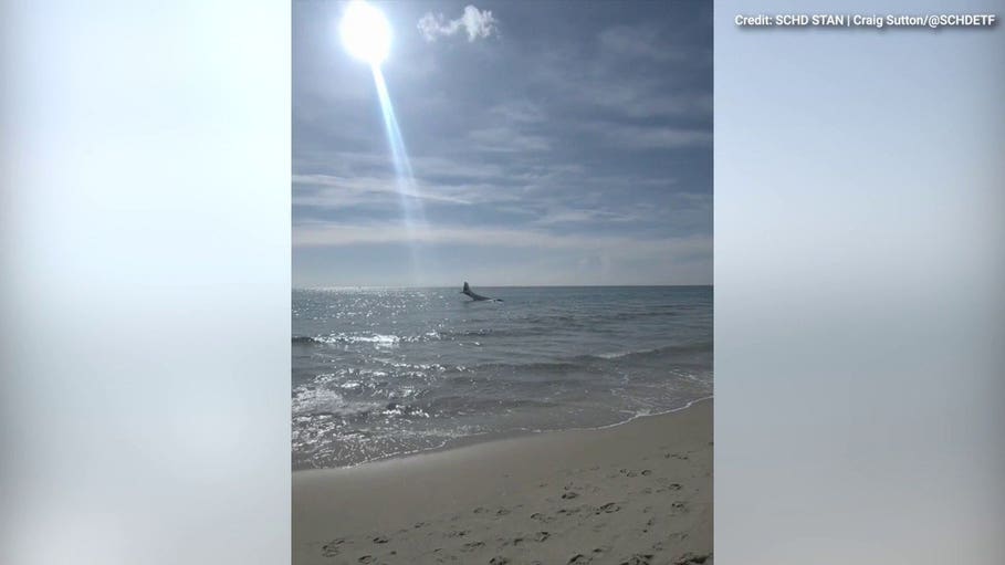Florida beachgover video shows twin-engine plane's dramatic water landing