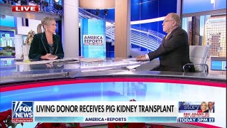 NYU Langone performs a new procedure for kidney replacement using pig organ - Fox News