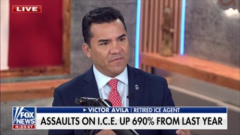 Number of assaults on ICE agents sees massive increase from last year