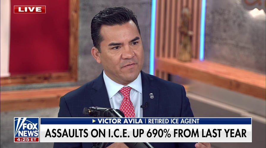 Assaults on ICE agents increased substantially from last year