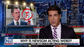 Jesse Watters: The Democratic machine is so weak