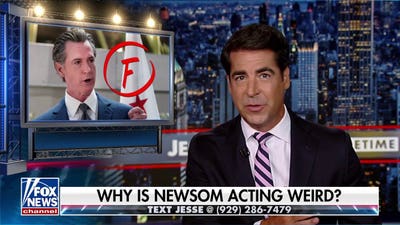 Jesse Watters: The Democratic machine is so weak