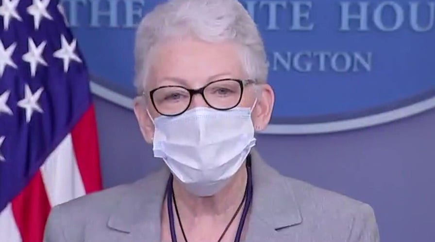 Author calls out 'silly' remark from Biden admin official on climate change