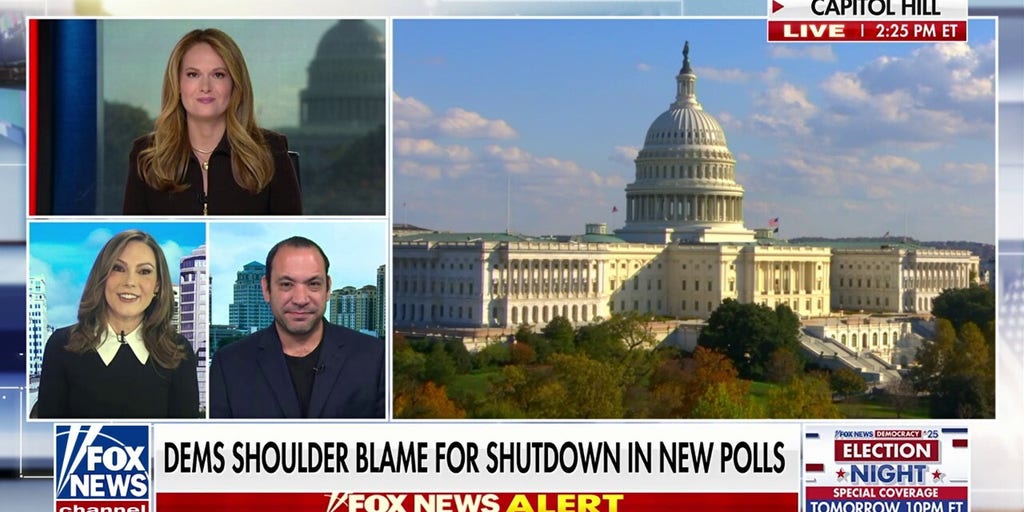 Lisa Boothe calls out ‘crazy’ Democratic base amid ongoing government